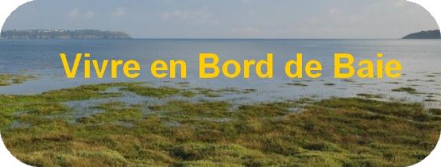 logo_vbb